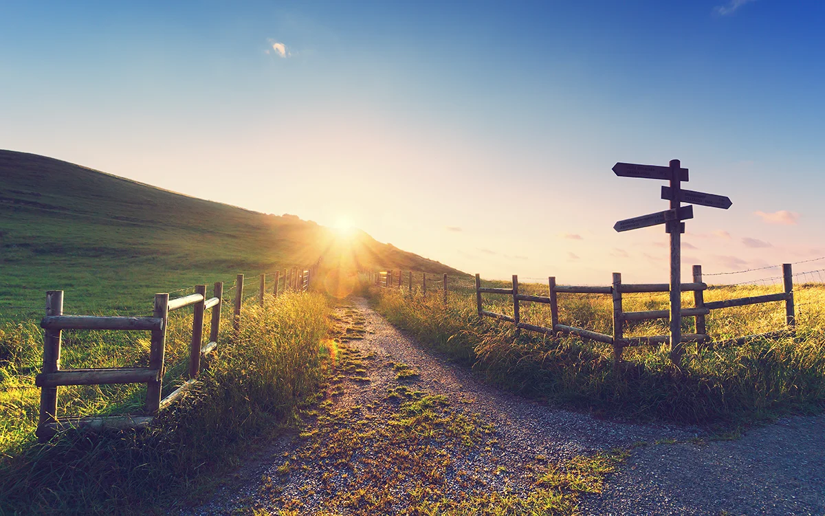 2023 Avenue Living Review